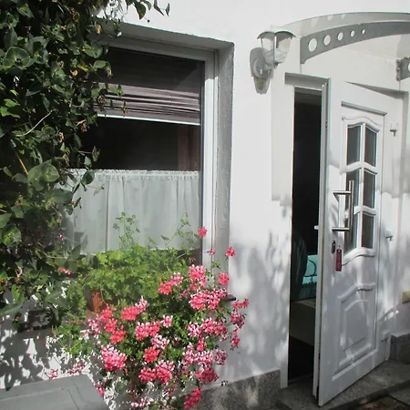 Kirschblüte Ueckermünde